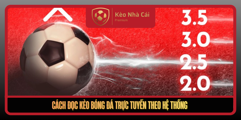 Kèo Bóng Đá Trực Tuyến Theo Dòng Trận Tại Kèo Nhà Cái Mỗi Ngày 2 Cach Doc Keo Bong Da Truc Tuyen Theo He Thong