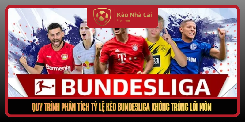 Tỷ Lệ Kèo Bundesliga Tại Kèo Nhà Cái - Đọc Kèo Theo Nhịp Trận 2 Quy Trinh Phan Tich Ty Le Keo Bundesliga Khong Trung Loi Mon