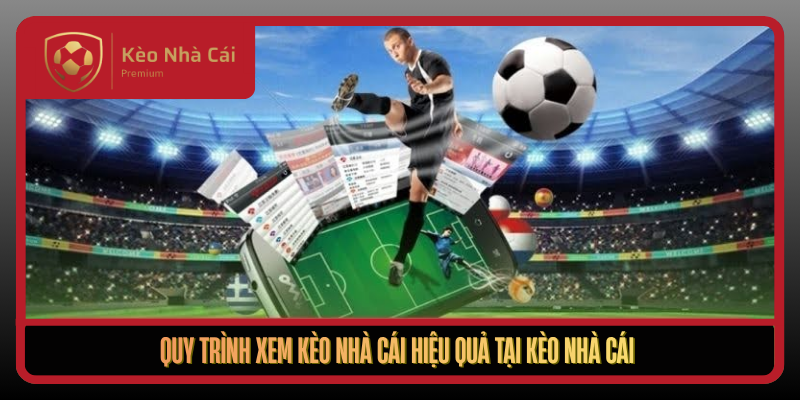 Xem Kèo Nhà Cái Trực Quan Nhanh Và Chính Xác Mỗi Ngày 3 Quy Trinh Xem Keo Nha Cai Hieu Qua Tai Keo Nha Cai