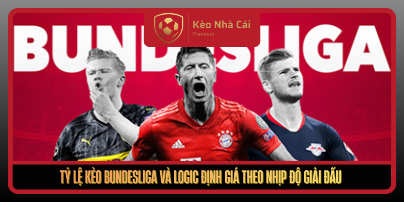 Tỷ Lệ Kèo Bundesliga Tại Kèo Nhà Cái - Đọc Kèo Theo Nhịp Trận 1 Ty Le Keo Bundesliga Va Logic Dinh Gia Theo Nhip Do Giai Dau
