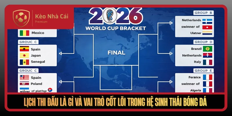 Lịch Thi Đấu Tại Kèo Nhà Cái - Cập Nhật Nhanh, Đúng, Đủ 24/7 1 Lich Thi Dau La Gi Va Vai Tro Cot Loi Trong He Sinh Thai Bong Da1